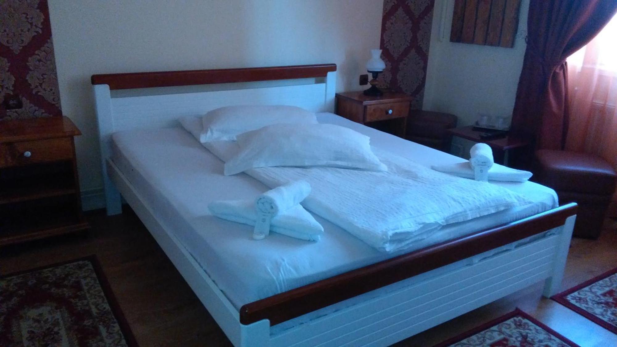 Hotel Vila Nicoleta Sibiu Exterior foto