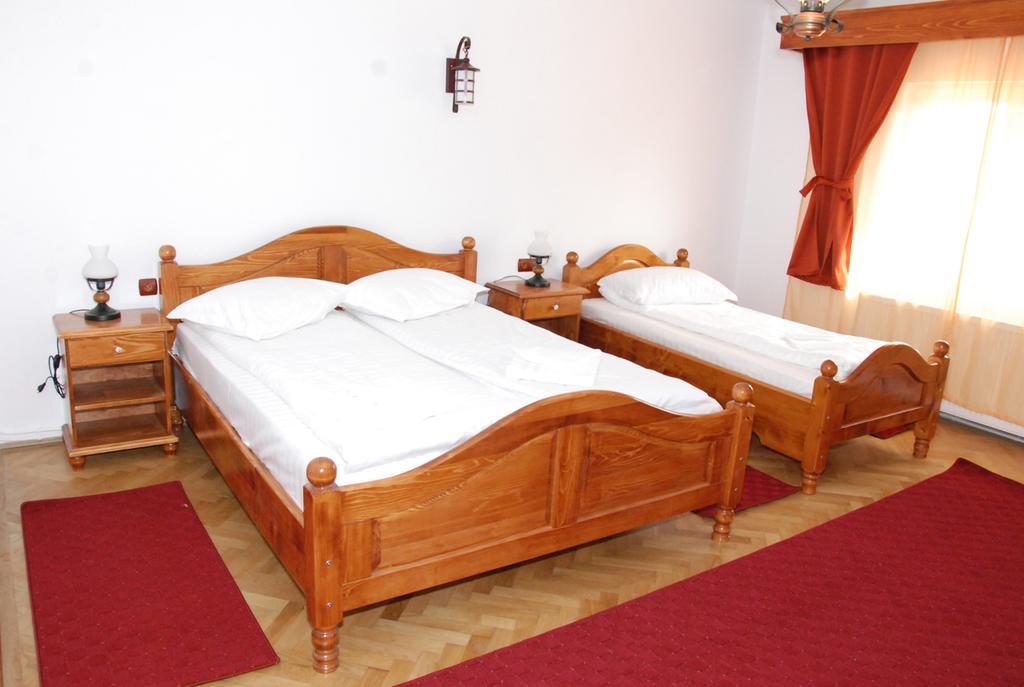 Hotel Vila Nicoleta Sibiu Exterior foto